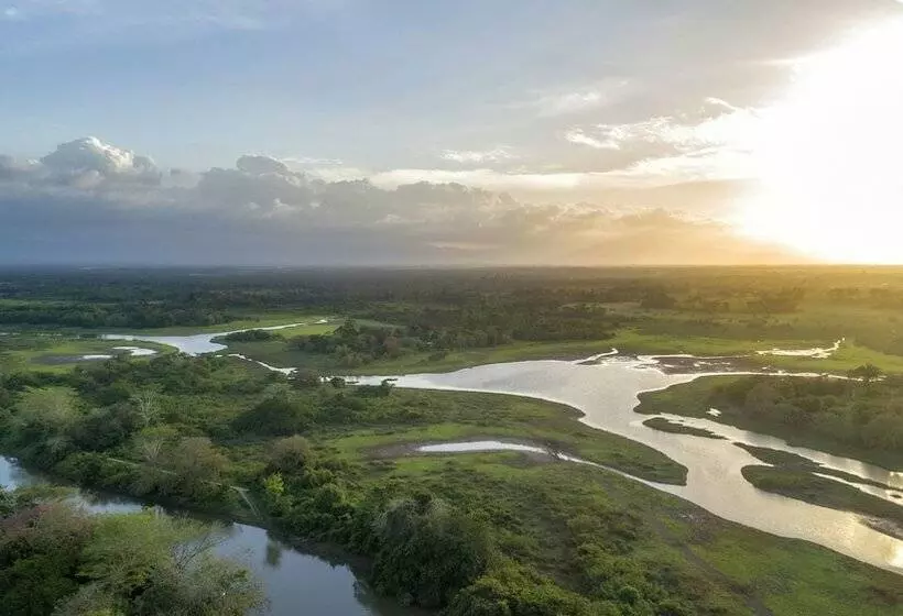 Отель Natural Lodge Caño Negro