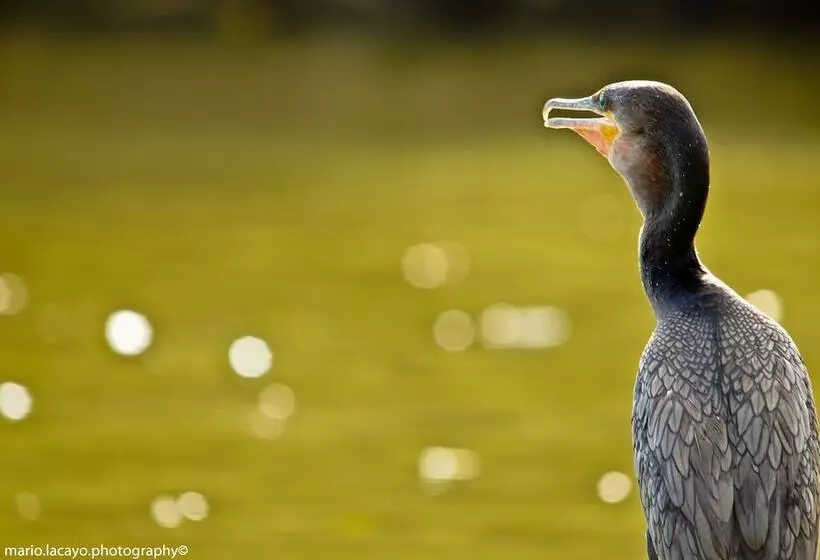 Отель Natural Lodge Caño Negro