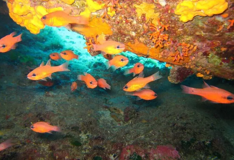 ホテル Nymphes Luxury Apartments