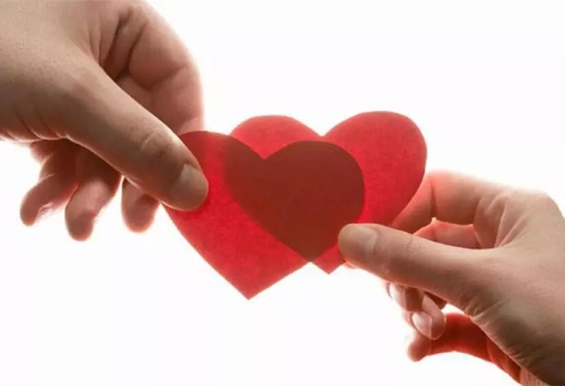 Отель Villa Paulita