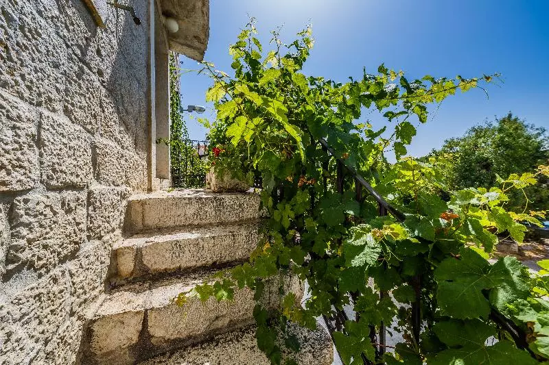 Hotelli Villa Rustica Dalmatia Apartments