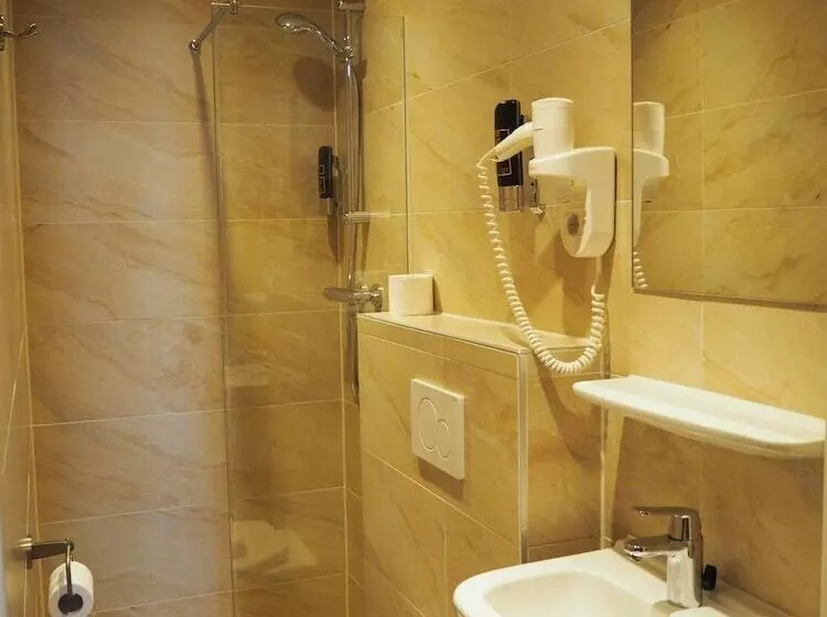 酒店 Blossoms City