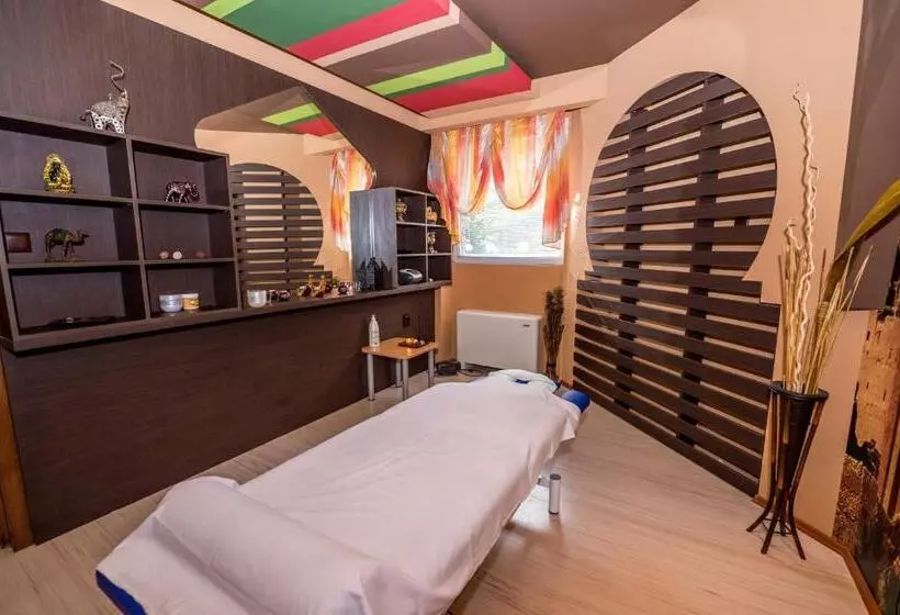 호텔 Hissar Spa