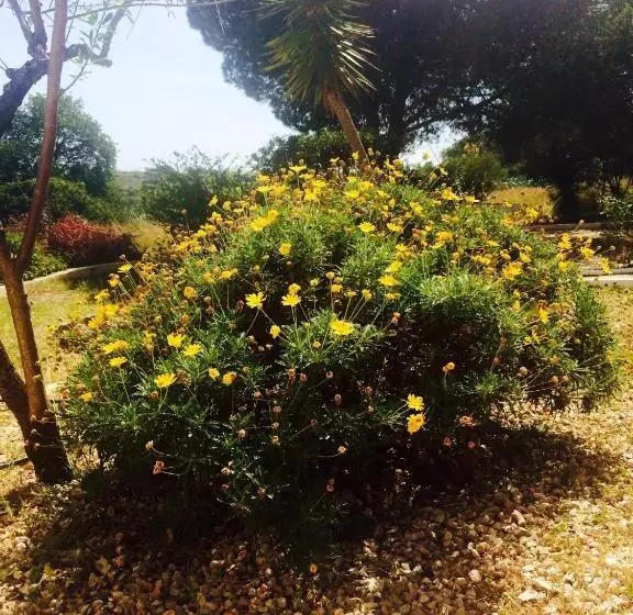 هتل Quinta Do Atlantico