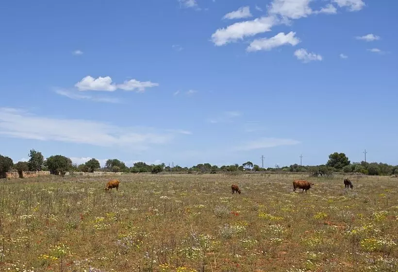 فندق ريفى Agroturisme Na Martina