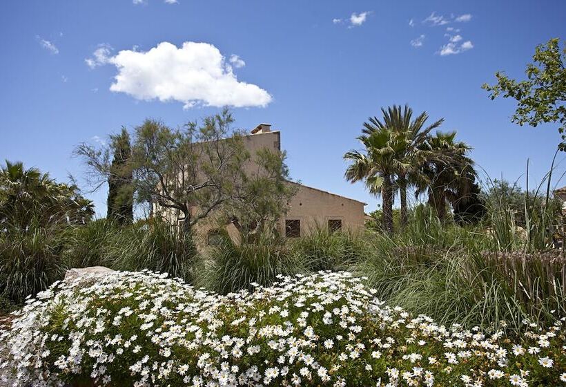 田舎風ホテル Agroturisme Na Martina