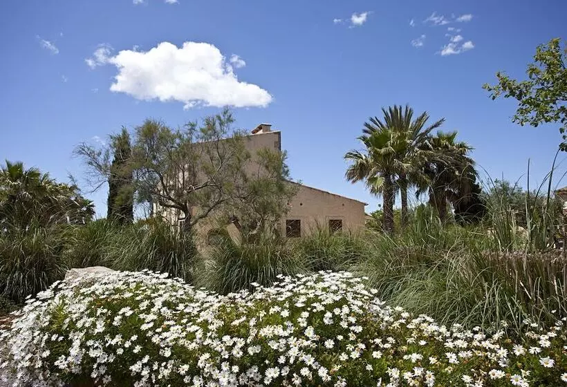 فندق ريفى Agroturisme Na Martina