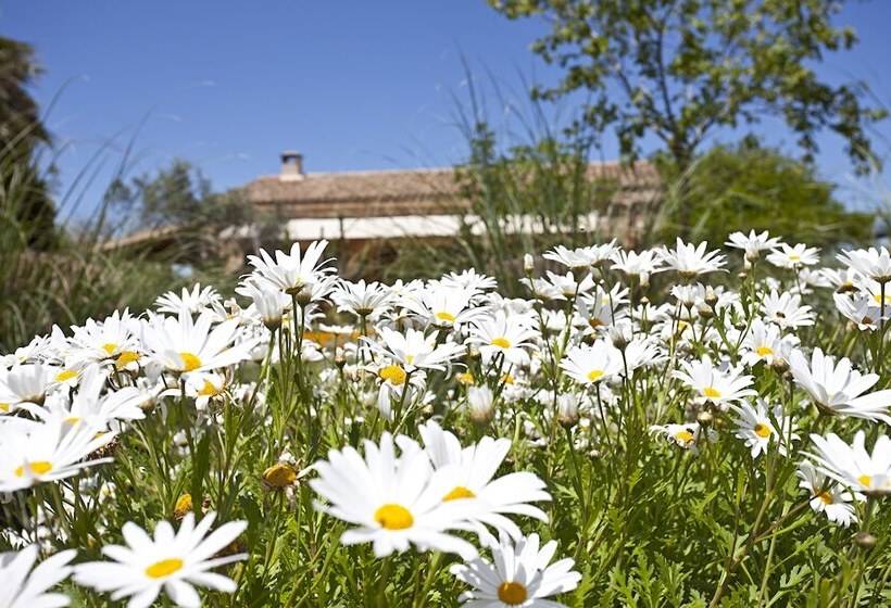 田舎風ホテル Agroturisme Na Martina