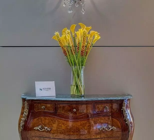 Otel Senator Granada