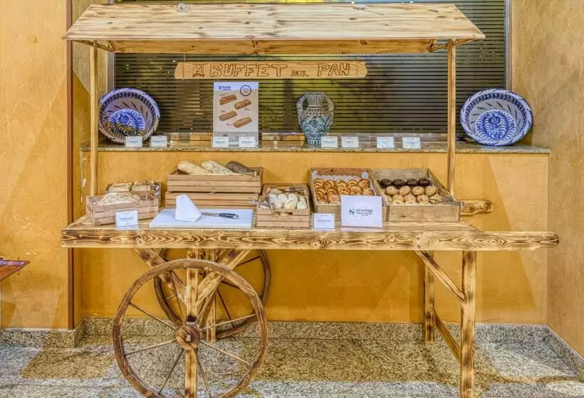 Otel Senator Granada