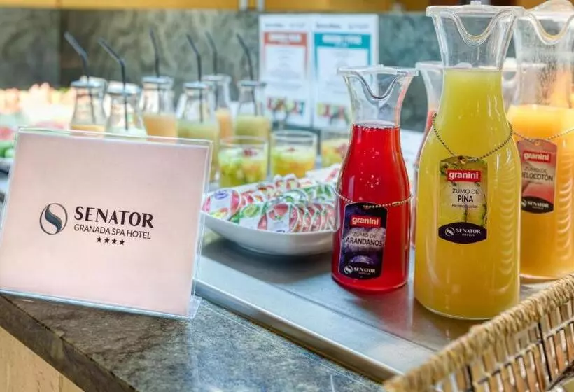 Otel Senator Granada
