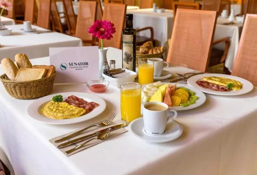 Otel Senator Granada