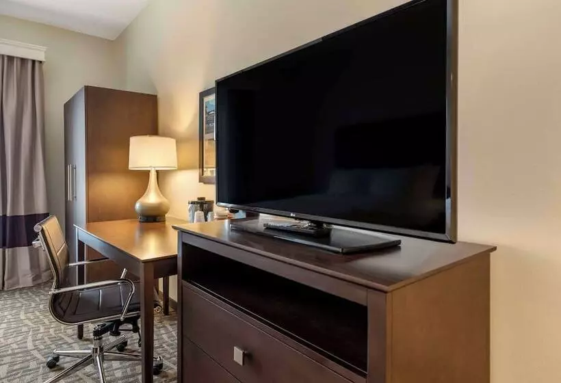 ホテル Comfort Inn & Suites Pittsburgh Northshore