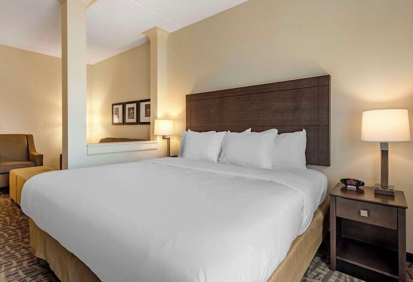 فندق Comfort Inn & Suites Pittsburgh Northshore