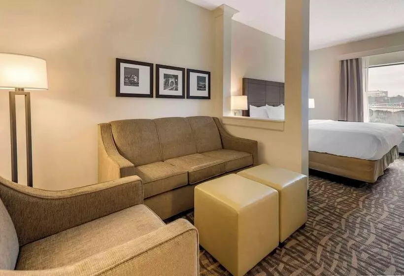 ホテル Comfort Inn & Suites Pittsburgh Northshore
