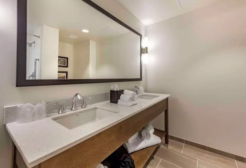 ホテル Comfort Inn & Suites Pittsburgh Northshore