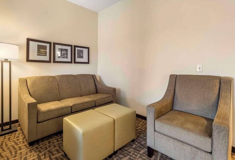فندق Comfort Inn & Suites Pittsburgh Northshore