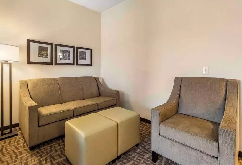 ホテル Comfort Inn & Suites Pittsburgh Northshore