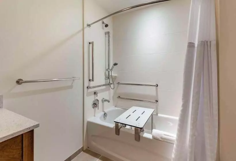 ホテル Comfort Inn & Suites Pittsburgh Northshore