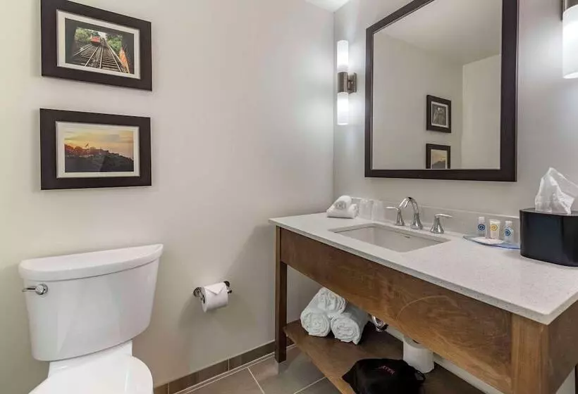 ホテル Comfort Inn & Suites Pittsburgh Northshore
