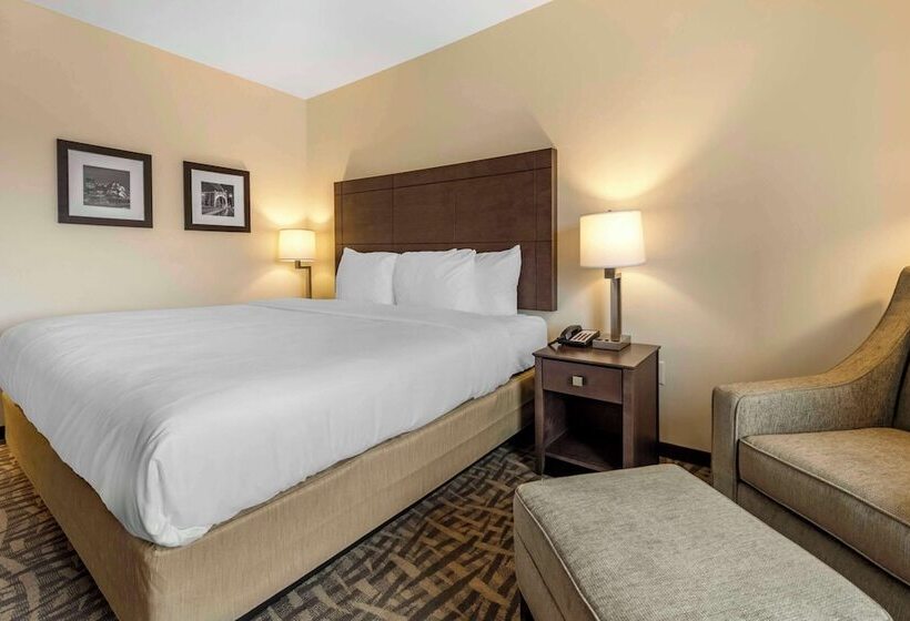 فندق Comfort Inn & Suites Pittsburgh Northshore