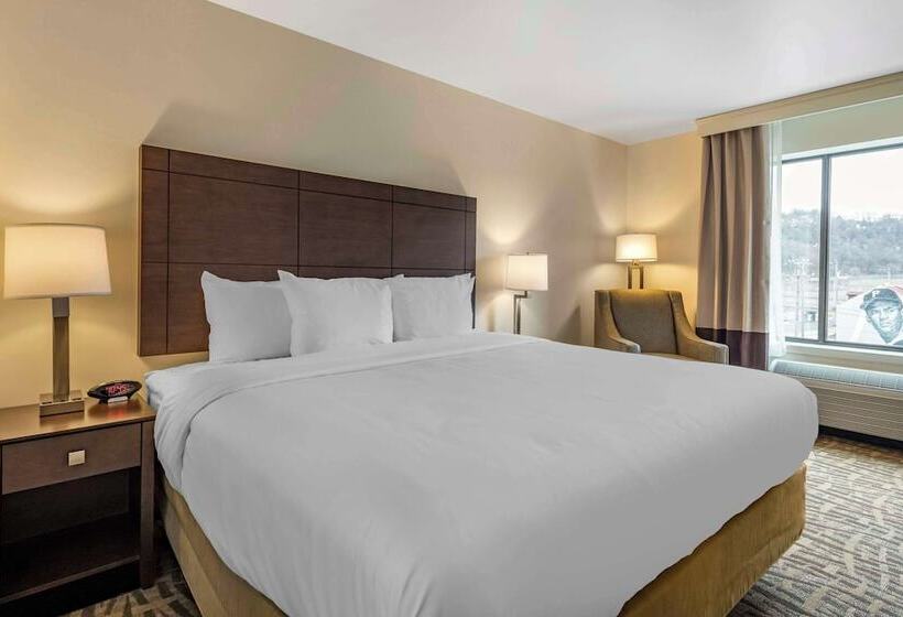 فندق Comfort Inn & Suites Pittsburgh Northshore