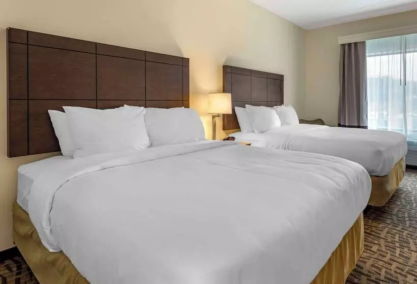 ホテル Comfort Inn & Suites Pittsburgh Northshore