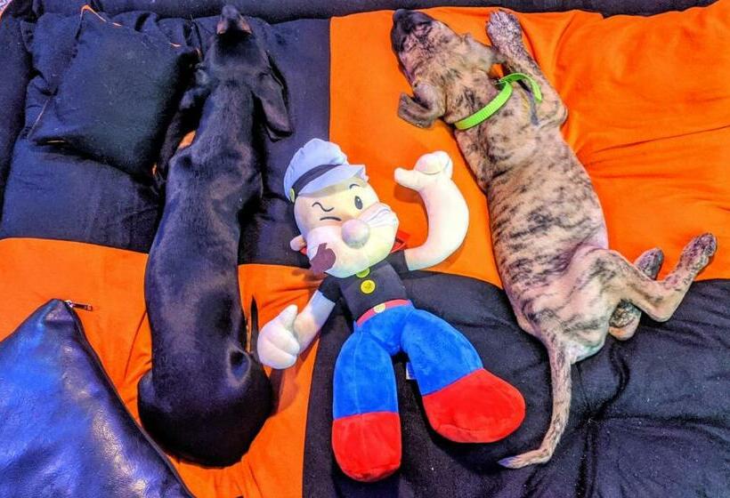 Hotel Master Paradise