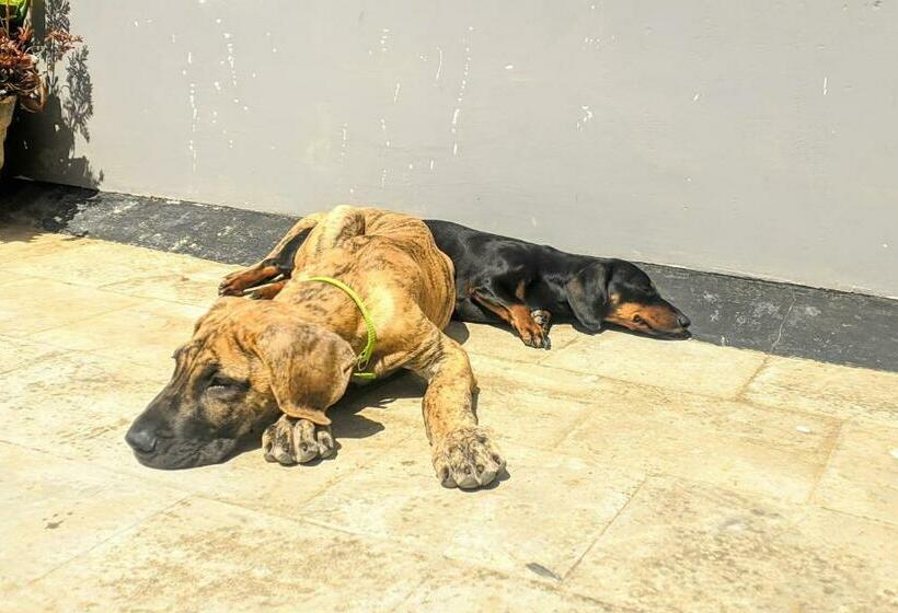 Hotel Master Paradise