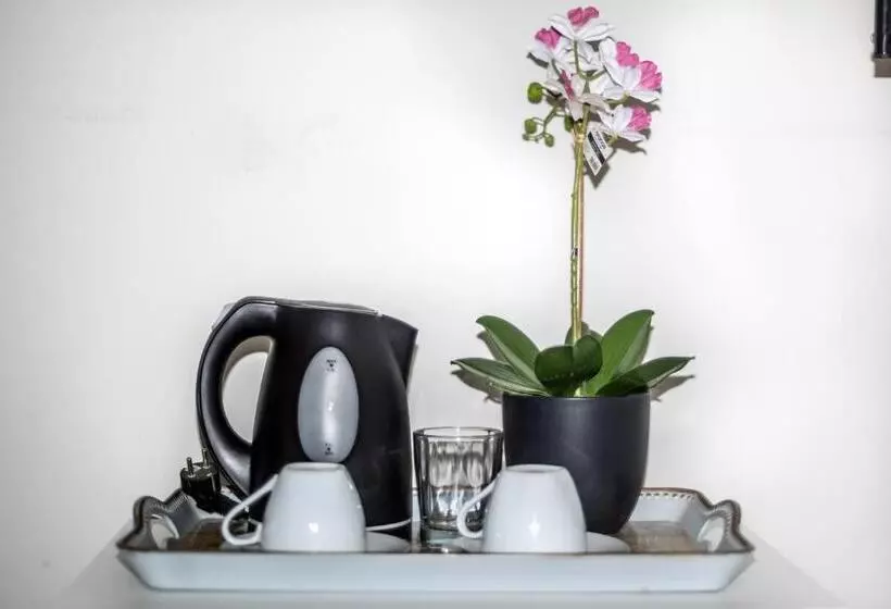 پانسیون Gran Imperial Avenida