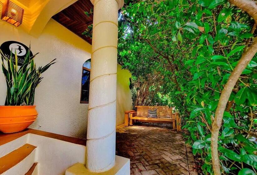 Vive Utila Bed & Breakfast