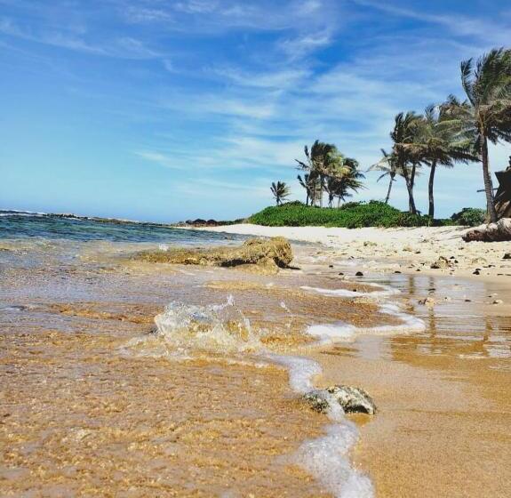 Vive Utila Bed & Breakfast