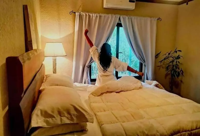 Vive Utila   Bed & Breakfast