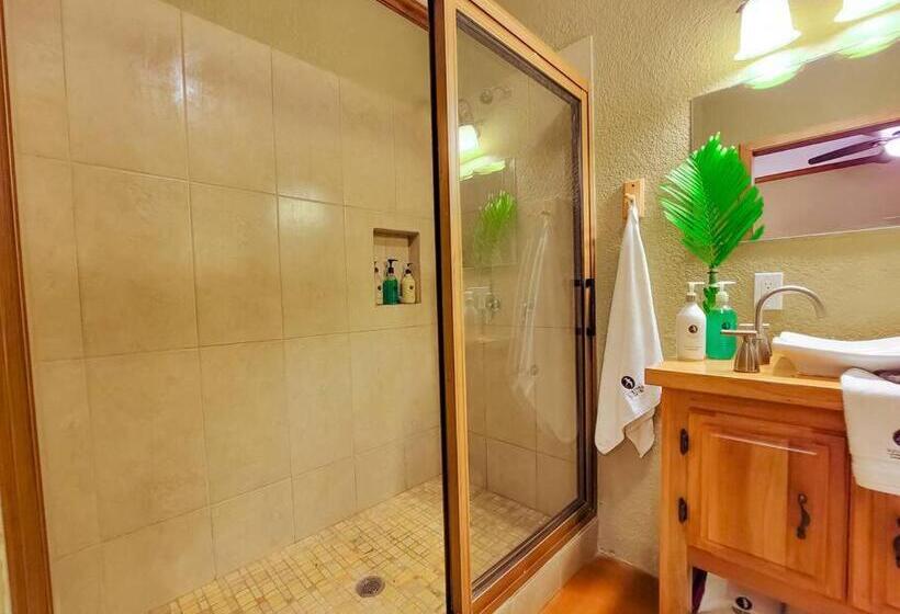 Vive Utila Bed & Breakfast