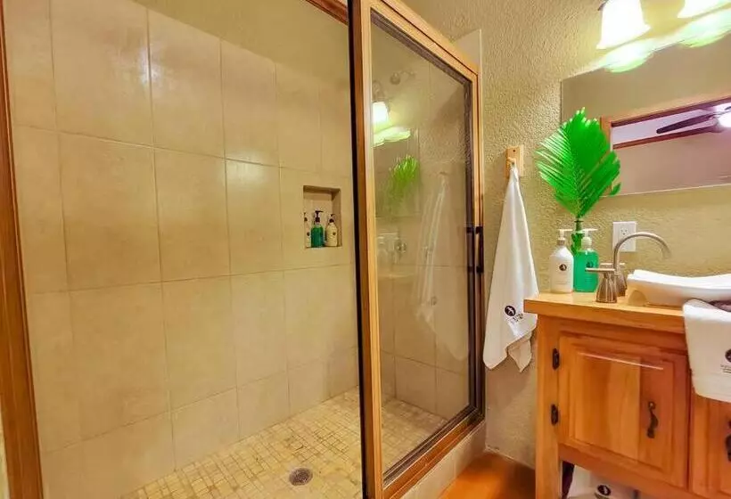 Vive Utila   Bed & Breakfast