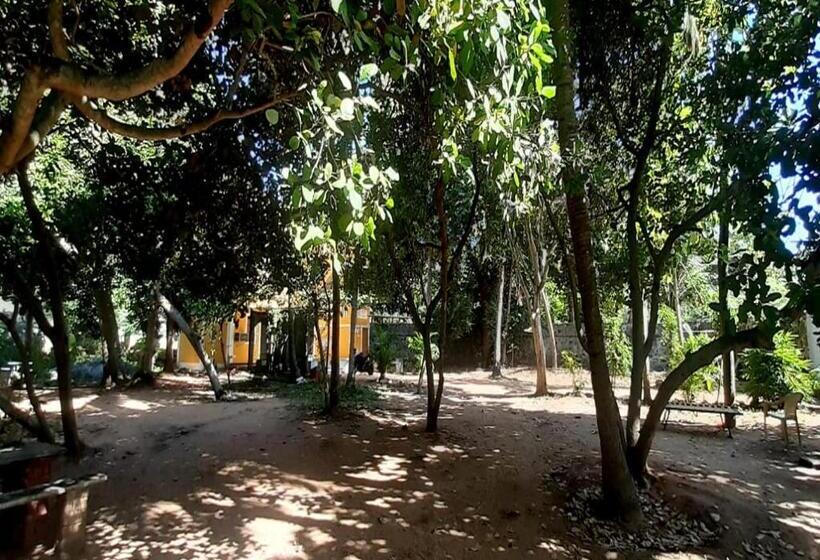 בית מלון כפרי Aashikha Farm House