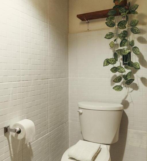 فندق Sur Bacalar