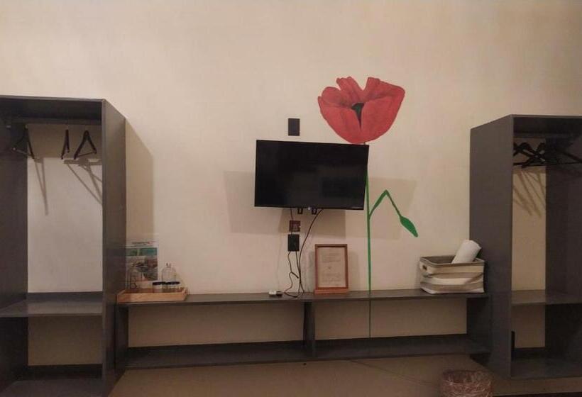 فندق Sur Bacalar