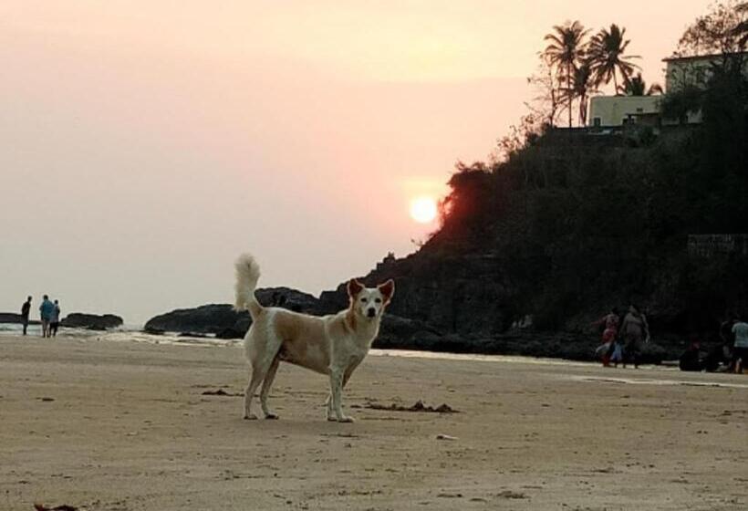 Pensione Red Rock Arambol Beach