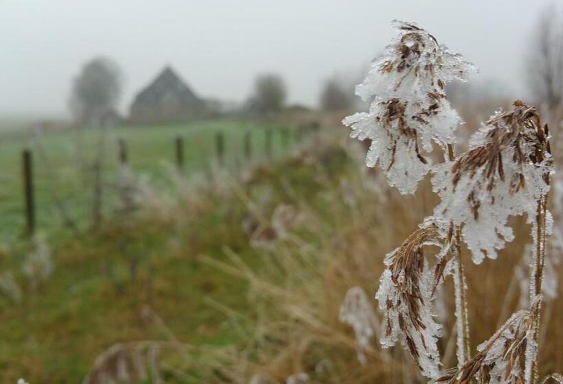 צימר Bed In Waterland