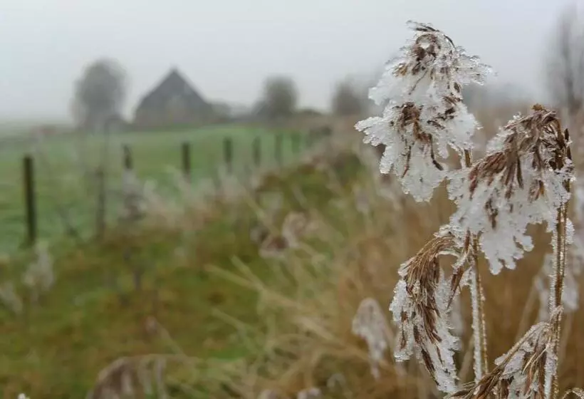 Aamiaismajoitus (B&B) Bed In Waterland