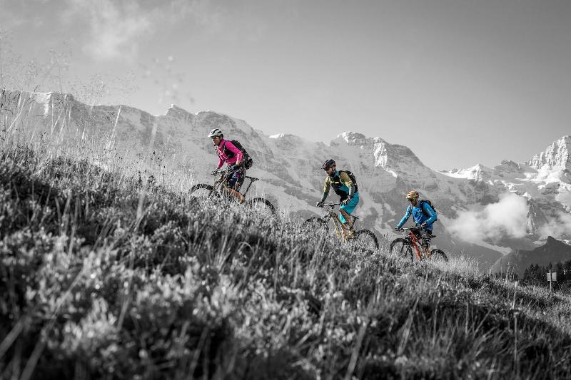 فندق Eiger Lodge Chic