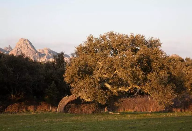 پانسیون Locanda Li Manni