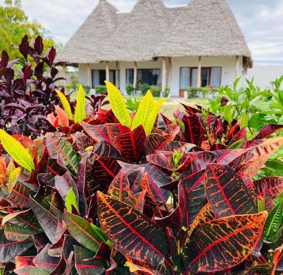 פנסיון Miti Beach Bungalows