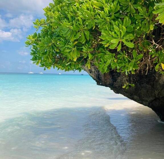 פנסיון Miti Beach Bungalows