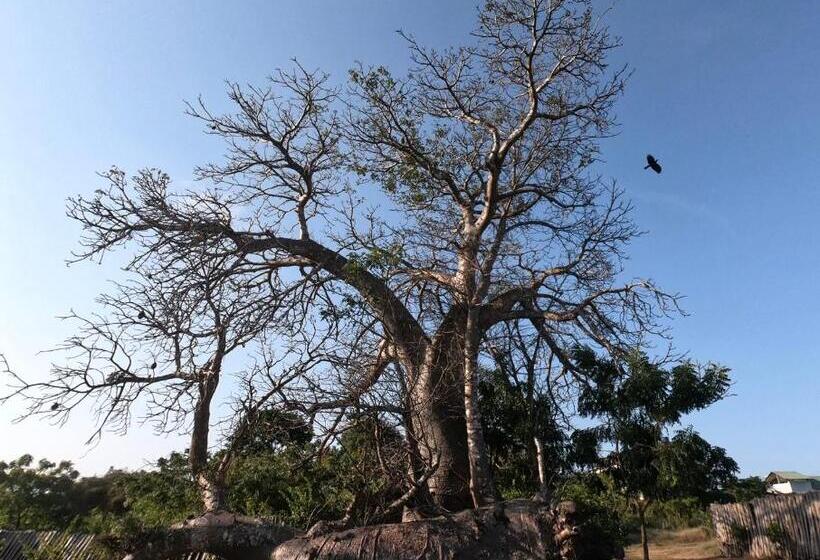 פנסיון Miti Beach Bungalows