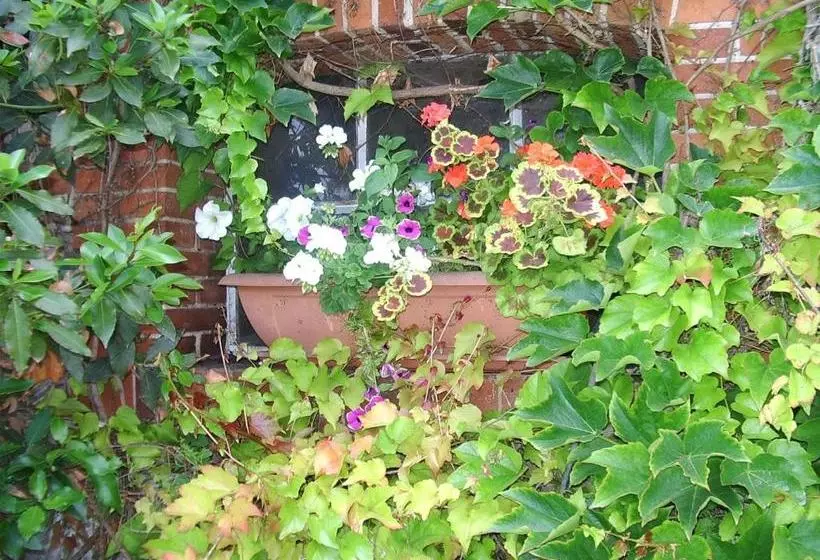 Hotel Chambres D Hôtes Des Caissons