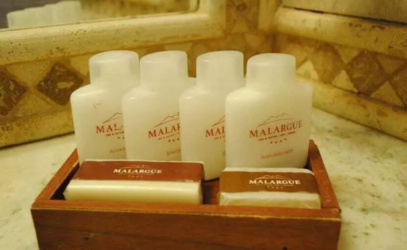 호텔 Malargüe Inn & Suites   Spa Casino