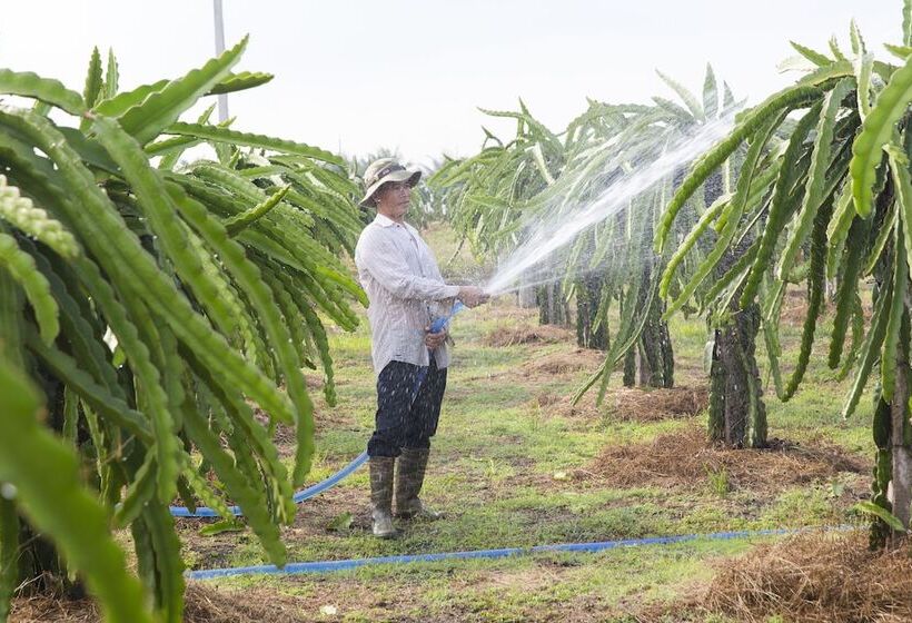 هتل Eco Spa Village