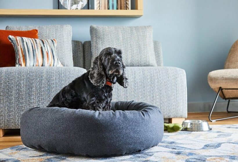 ホテル Residence Inn By Marriott Slough